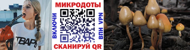 площадка как зайти  Скопин  kraken маркетплейс  Псилоцибиновые грибы Magic Shrooms  где купить наркотик 
