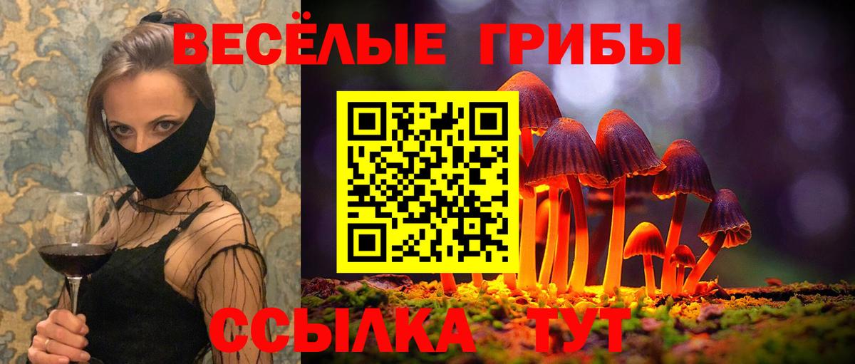 Псилоцибиновые грибы прущие грибы Скопин