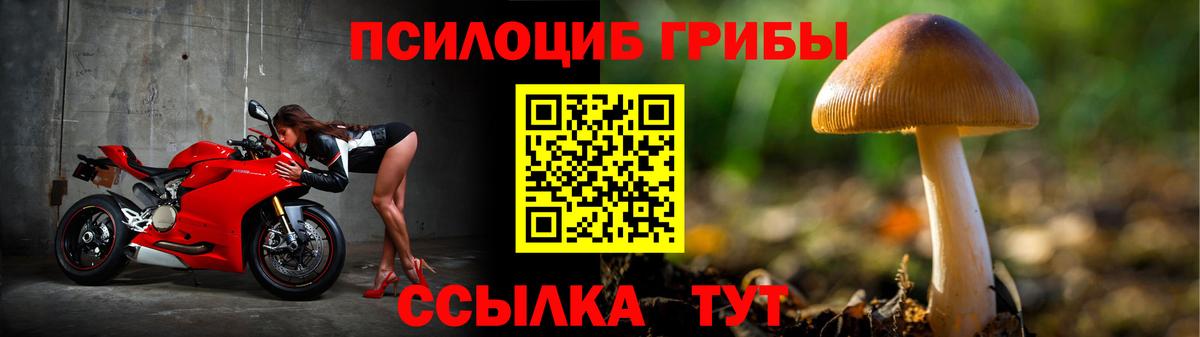 Галлюциногенные грибы GOLDEN TEACHER  Скопин  Псилоцибиновые грибы Cubensis 